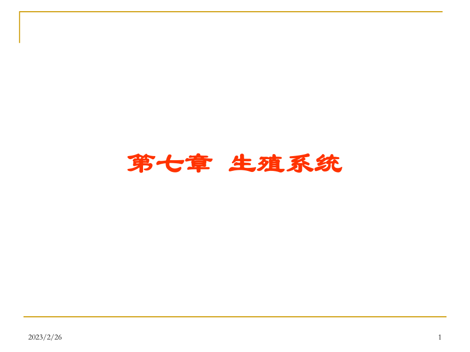 泌尿生殖系统.ppt_第1页