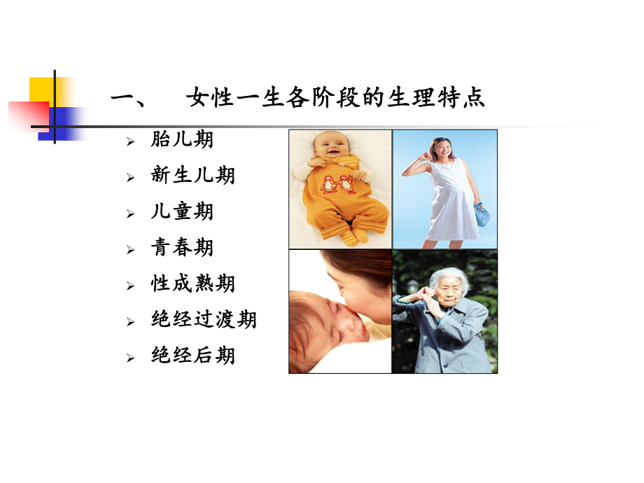 女性内分泌激素基础知识.ppt_第2页