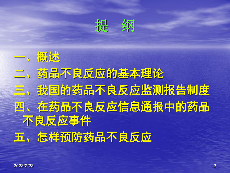 药品不良反应简介..ppt_第2页