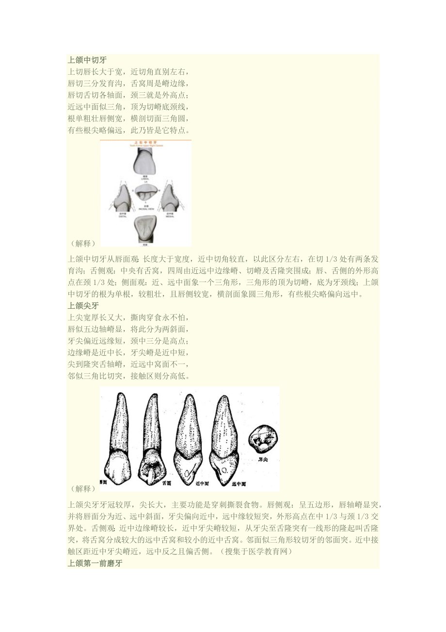 口腔知识速记之牙齿形态记忆口诀(附加图片).docx_第1页