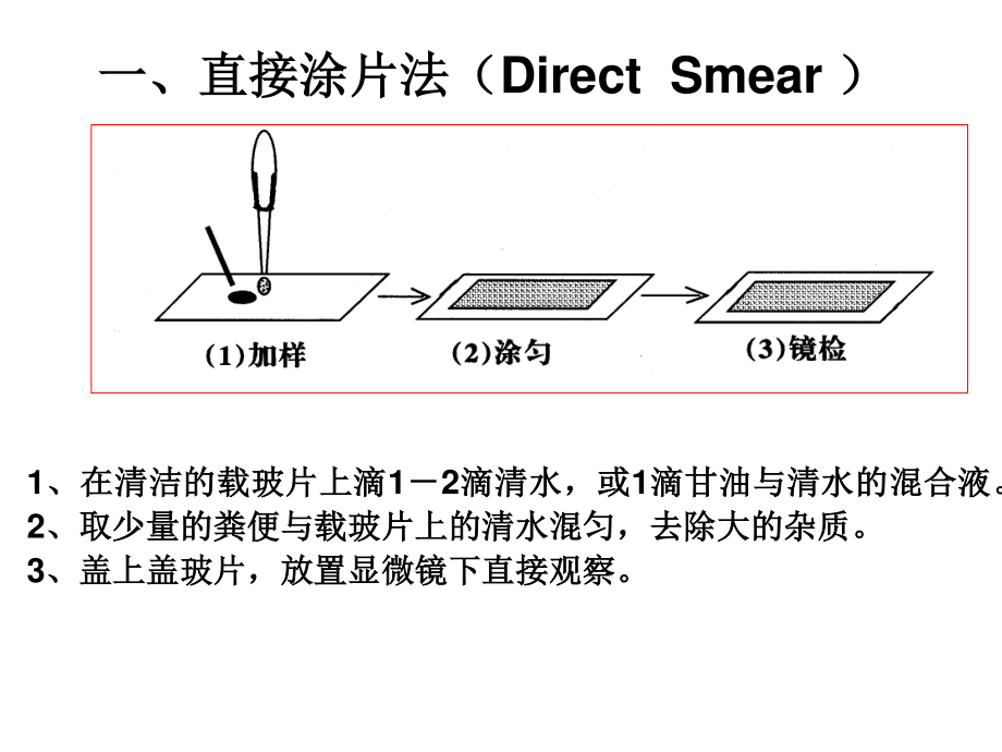 犬猫寄生虫病粪便检查法.ppt_第2页