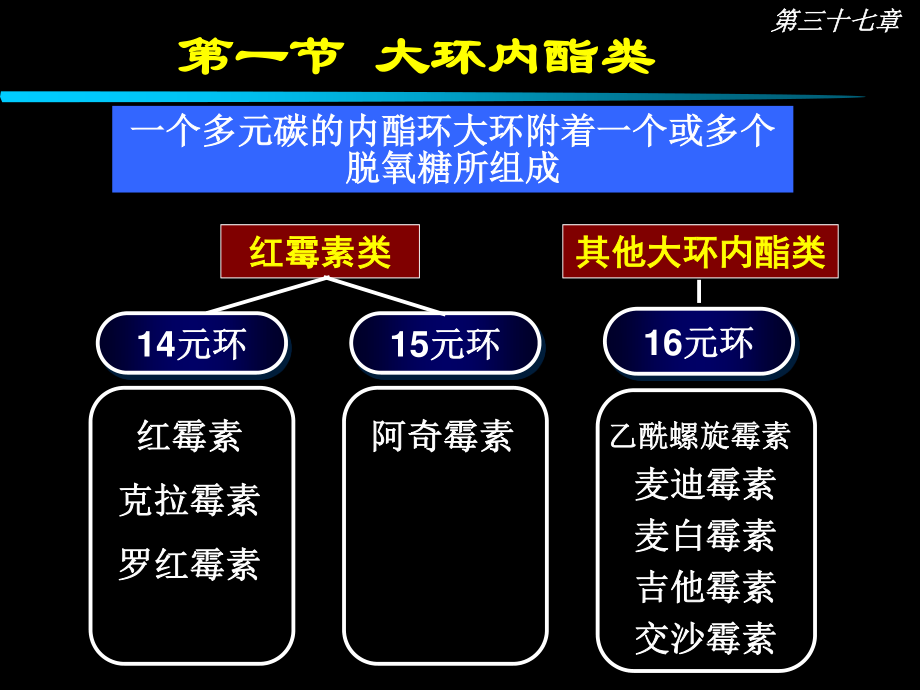 大环内酯类抗生素描述.ppt_第2页