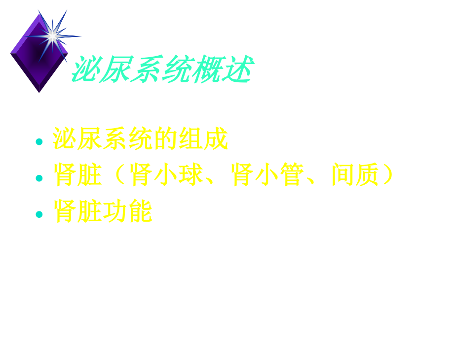 泌尿系统概述.ppt_第1页