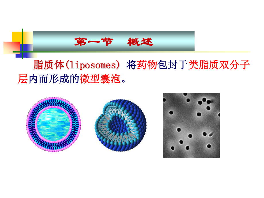 药剂学--脂质体介绍.ppt_第3页