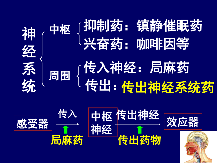 药理-5传出概论.ppt_第1页