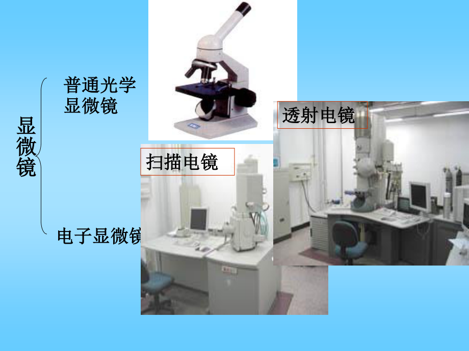 用绿色荧光染料标记鼠细胞膜上的蛋白质.ppt_第2页