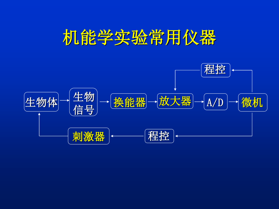 神经干动作电位.ppt_第3页