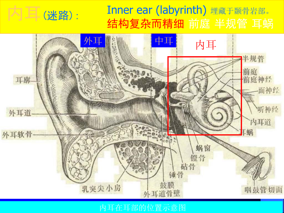 梅尼埃病-meniere.ppt_第3页