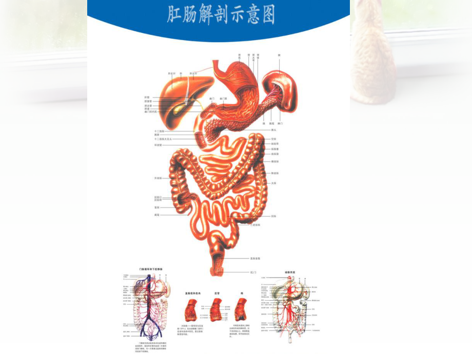 各种灌肠法.ppt_第2页