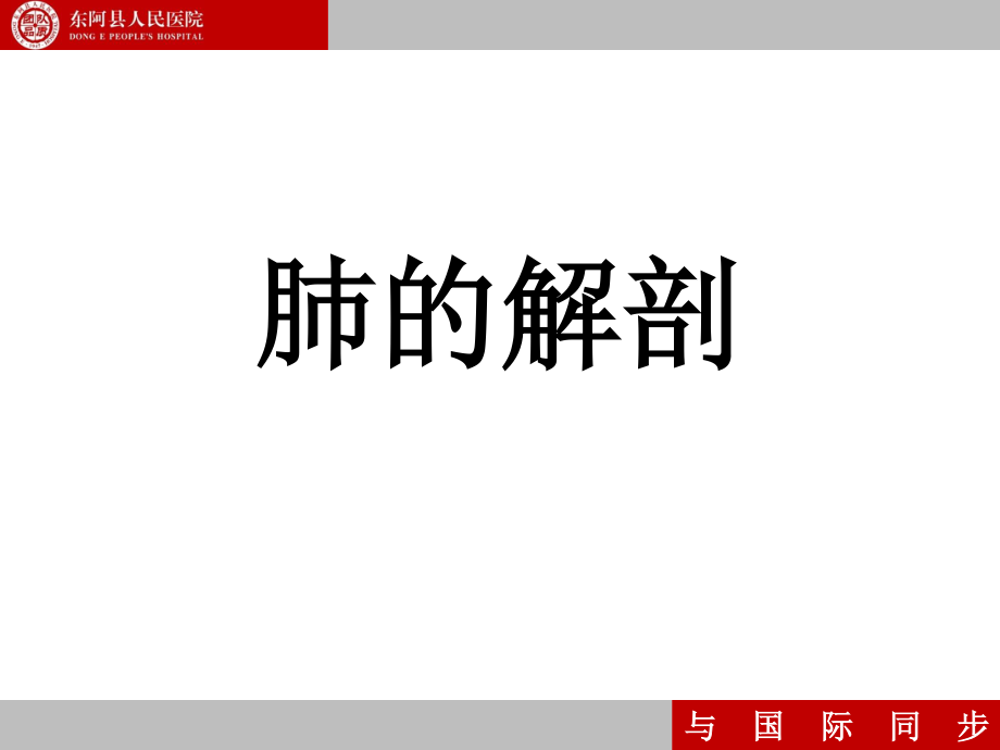 支气管镜下肺脏的分段.ppt_第1页