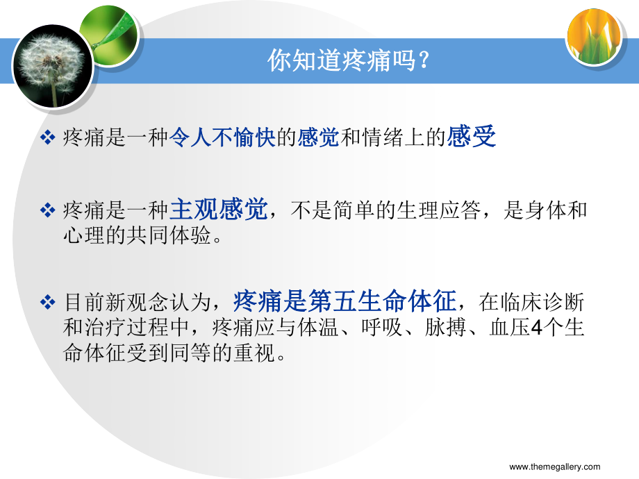 正确认识疼痛.ppt_第2页