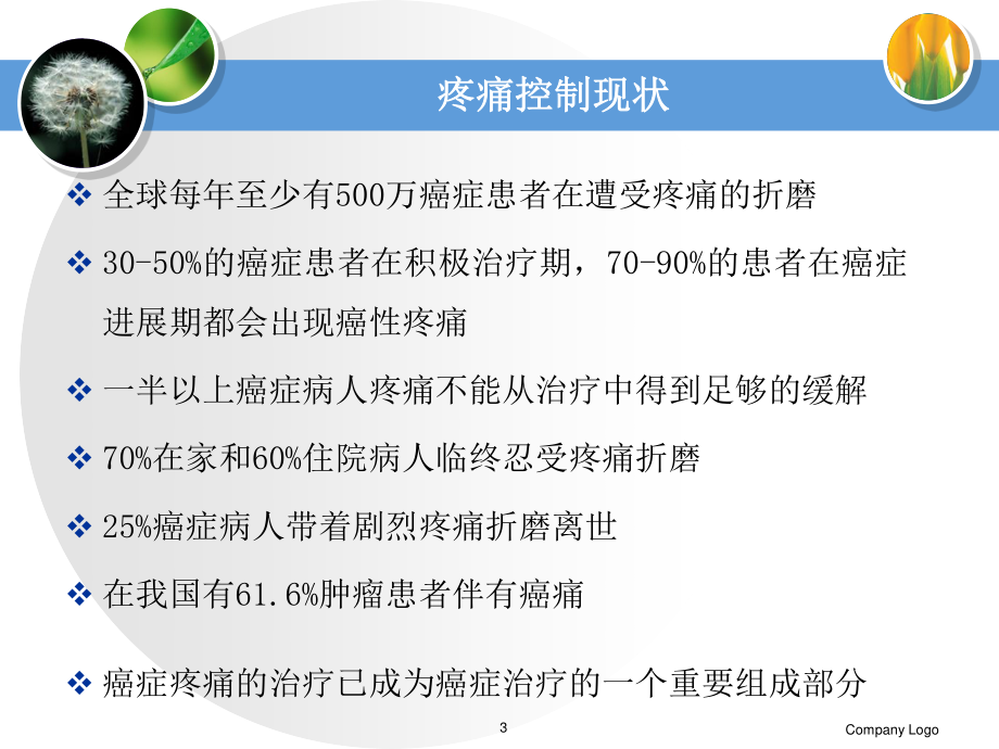 正确认识疼痛.ppt_第3页