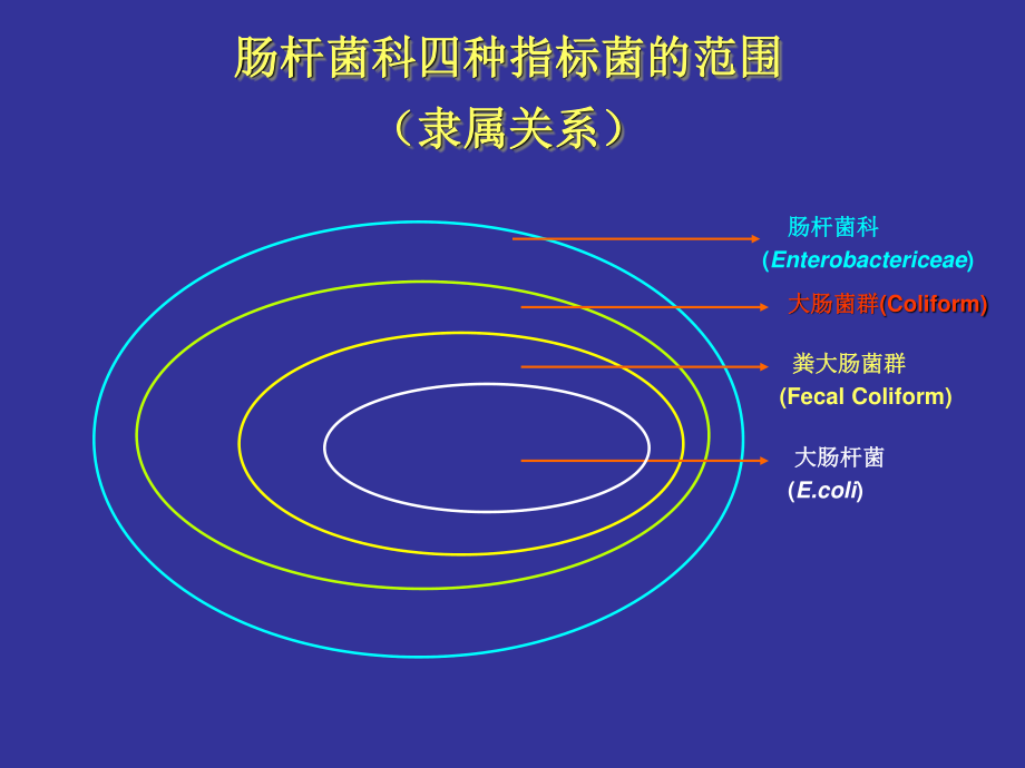 大肠杆菌PPT.ppt_第2页