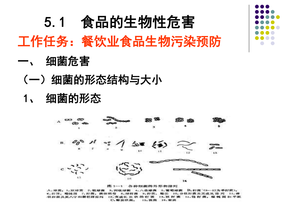 食品营养与安全-单元-食品安全基础.ppt_第1页