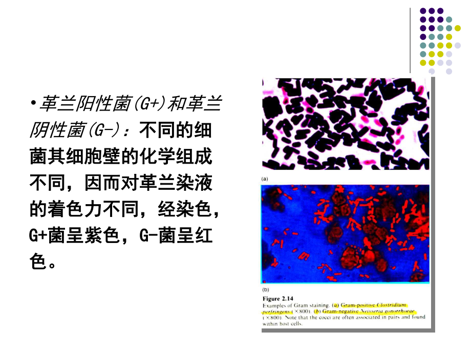 食品营养与安全-单元-食品安全基础.ppt_第2页