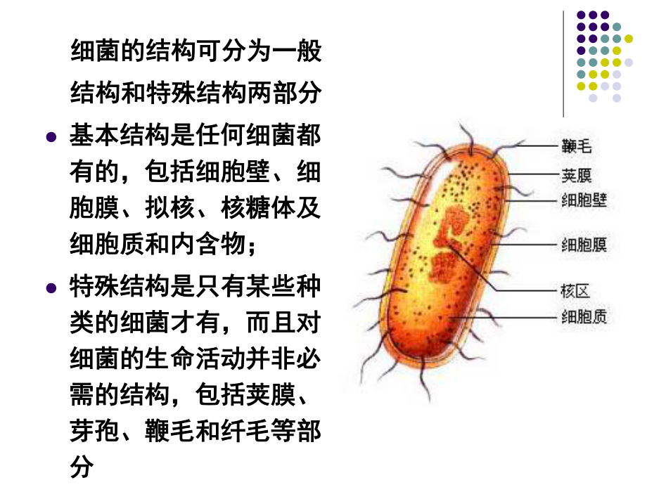 食品营养与安全-单元-食品安全基础.ppt_第3页