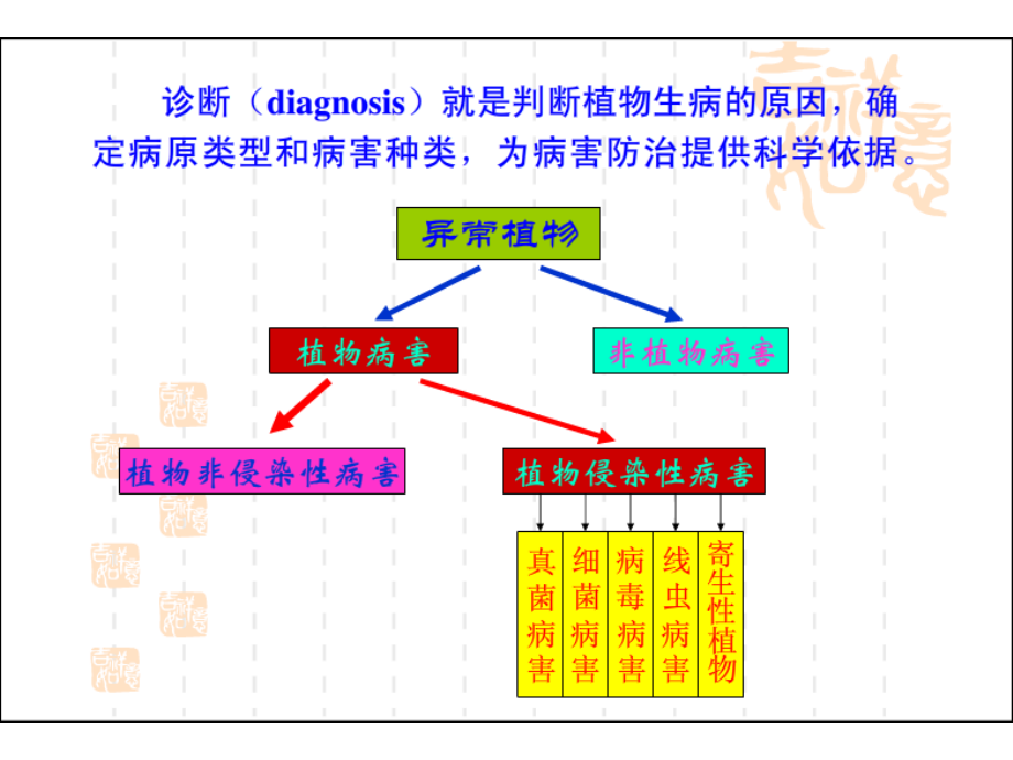 植物病原物的分类及鉴定.ppt_第1页