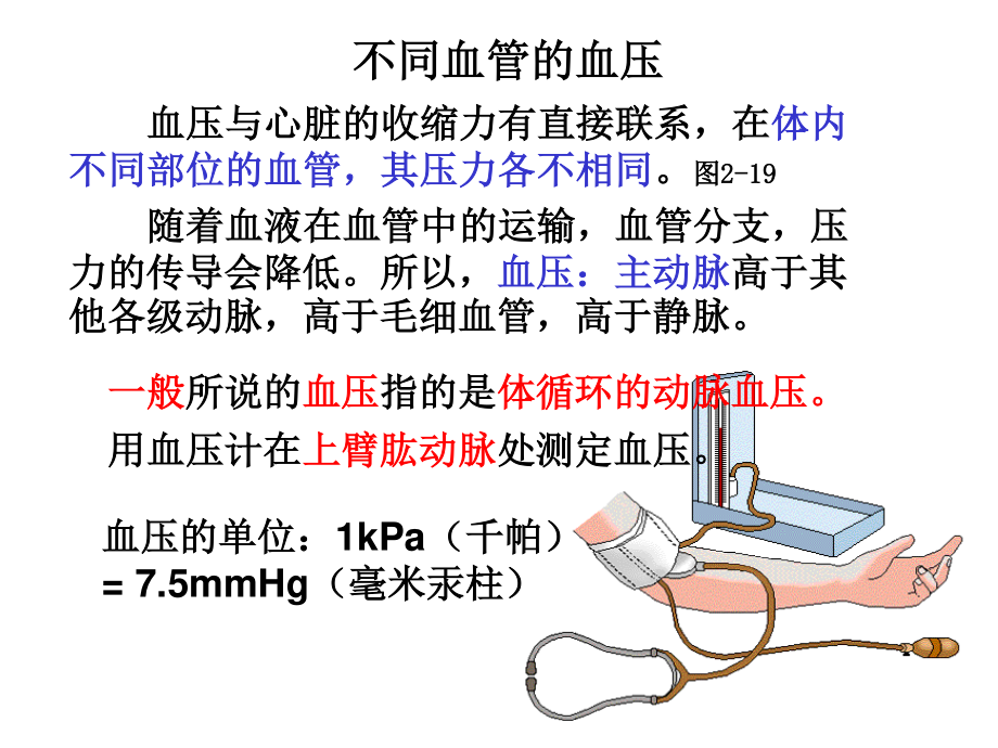 血压调节.ppt_第3页