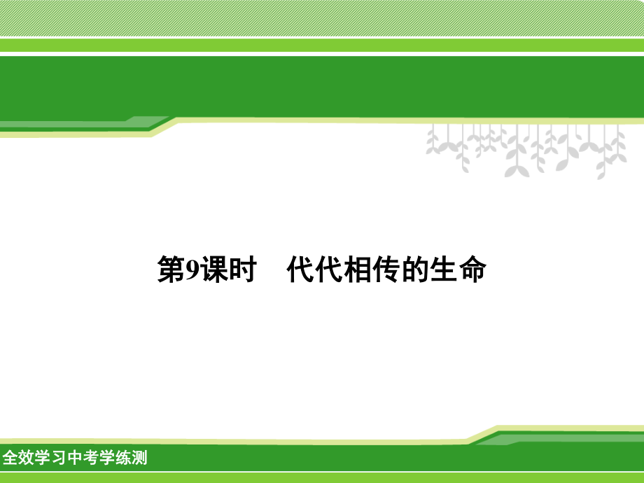 时代代相传的生命资料.ppt_第1页