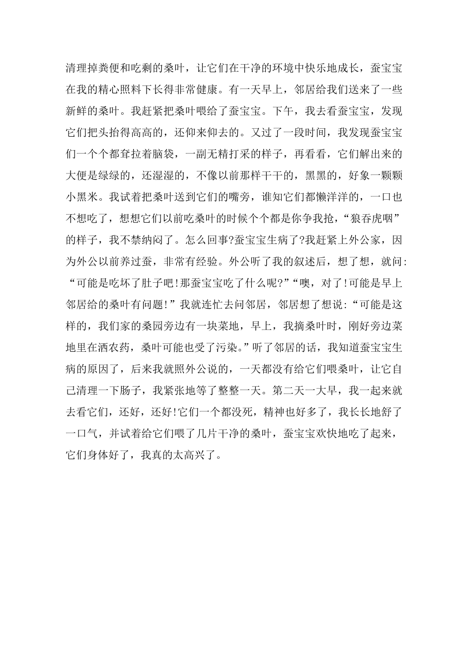 小班语言我的蚕宝宝生病了.doc_第2页