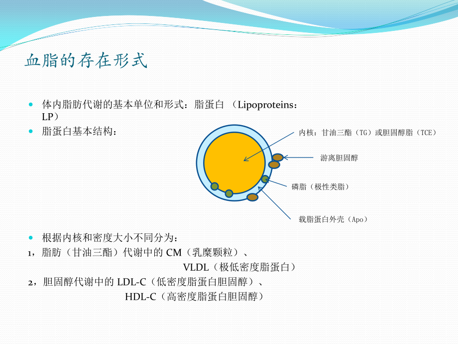 血脂构成及OS形成机理-高血脂症机理及靶点归纳.ppt_第2页