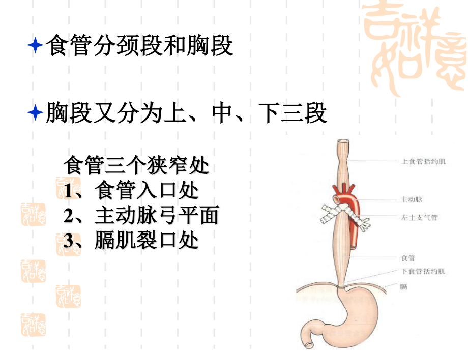 食管癌患者的.ppt_第2页