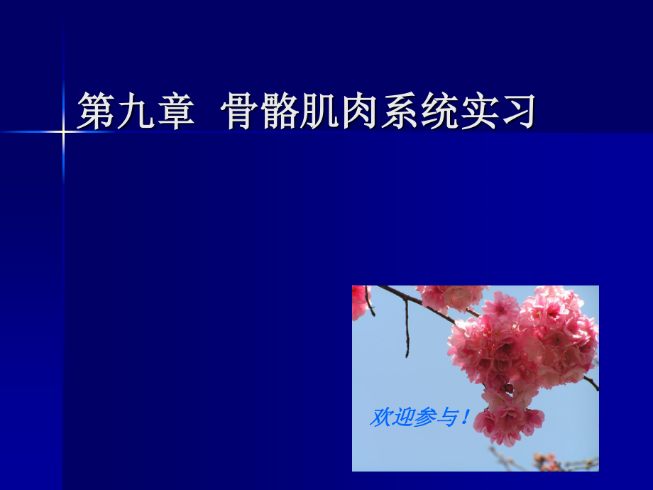 实习1---骨与关节正常表现.ppt_第1页