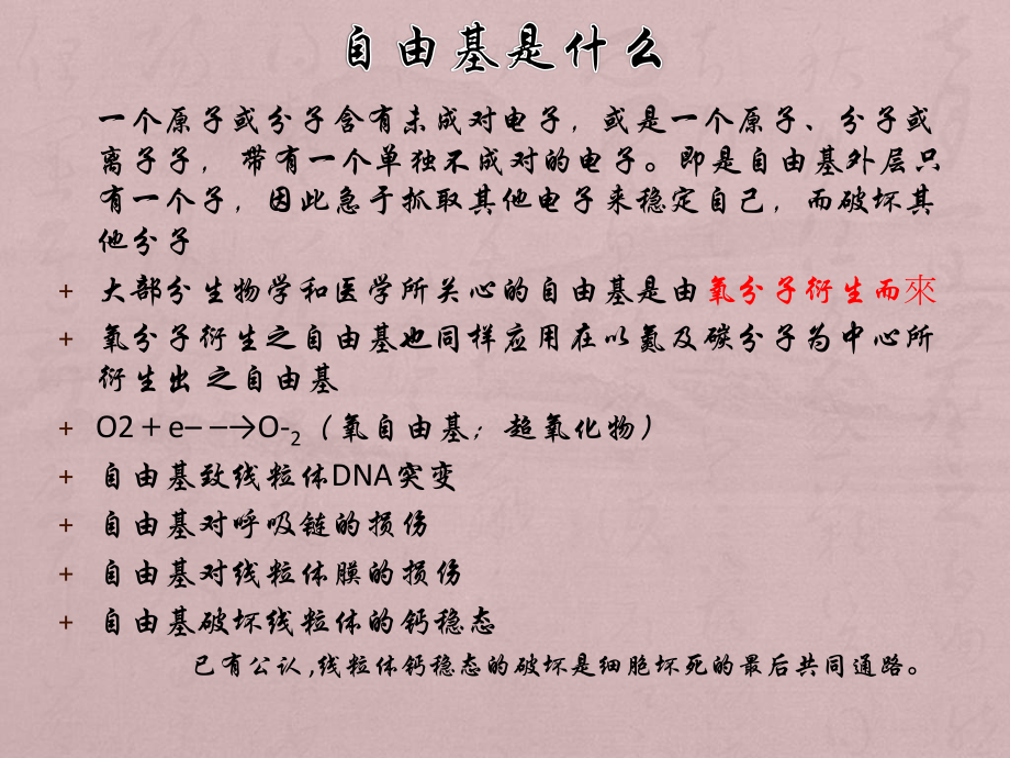 抗氧化药药理要点.ppt_第3页