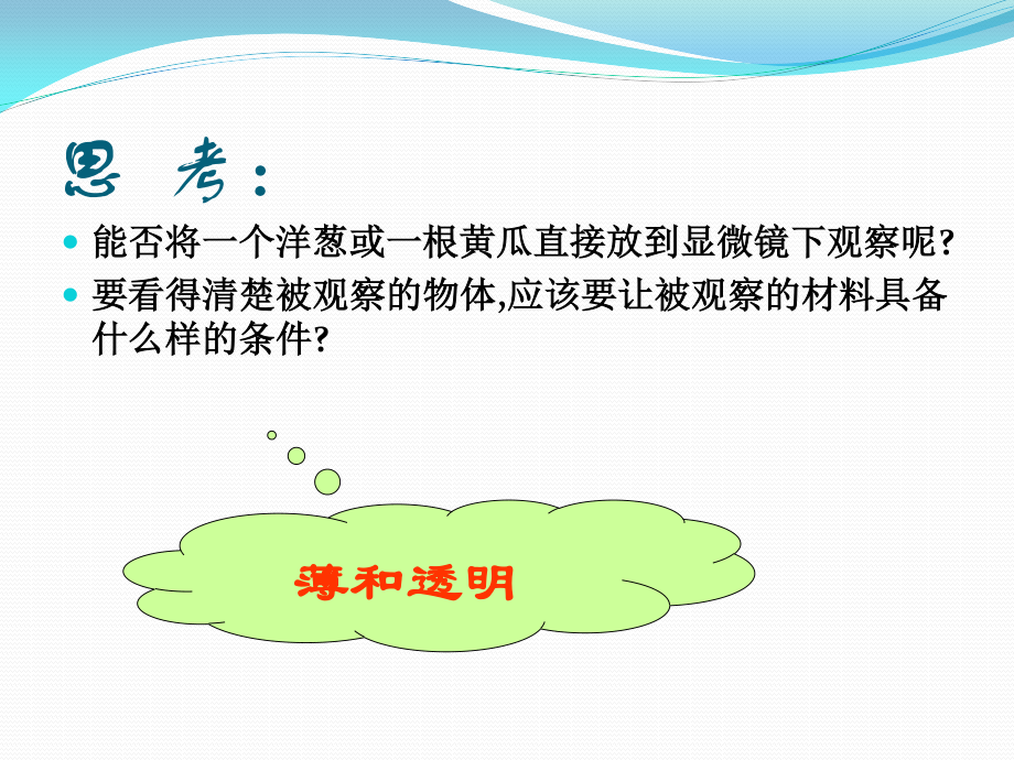 植物细胞.ppt_第2页