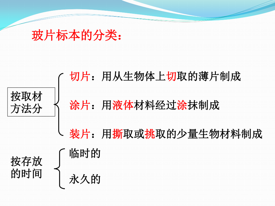 植物细胞.ppt_第3页