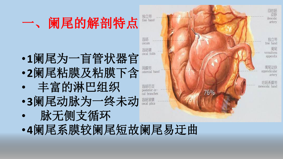 最新阑尾炎PPT.pptx_第2页