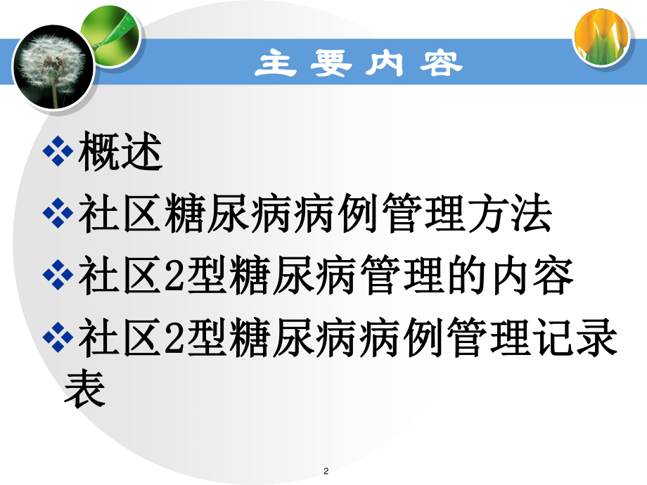 糖尿病流程医院讲解稿.ppt_第2页