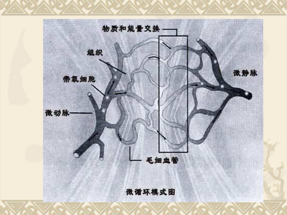 糖尿病微血管并发症早知道.ppt_第3页