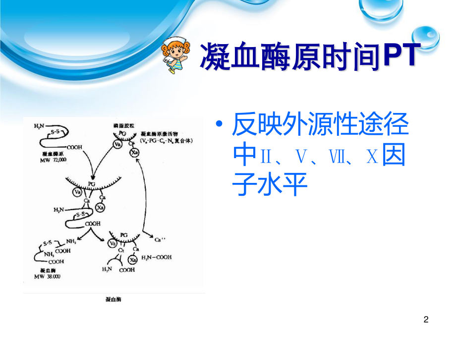 影响凝血酶原时间的因素的探讨--翁蕊-蒋纯靓.ppt_第2页