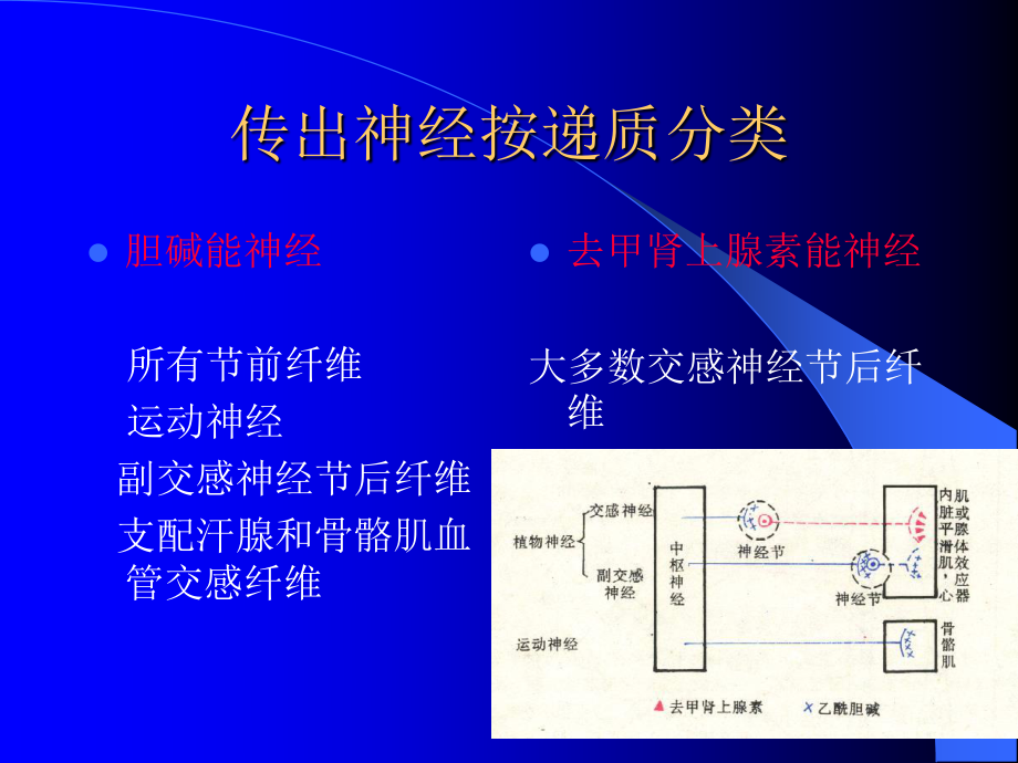 药理讲义传出神经021.ppt_第1页