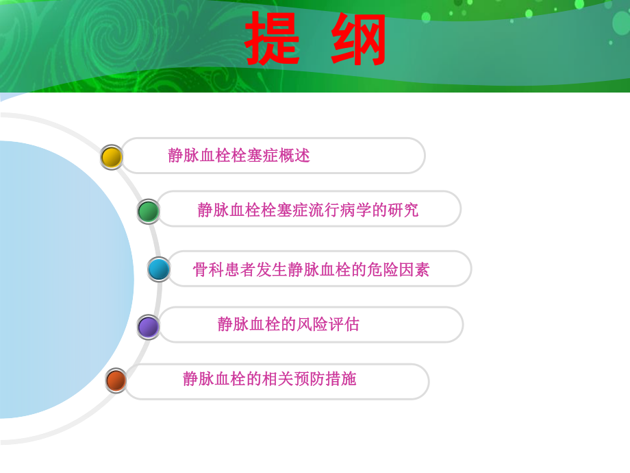 血栓评估.ppt_第2页