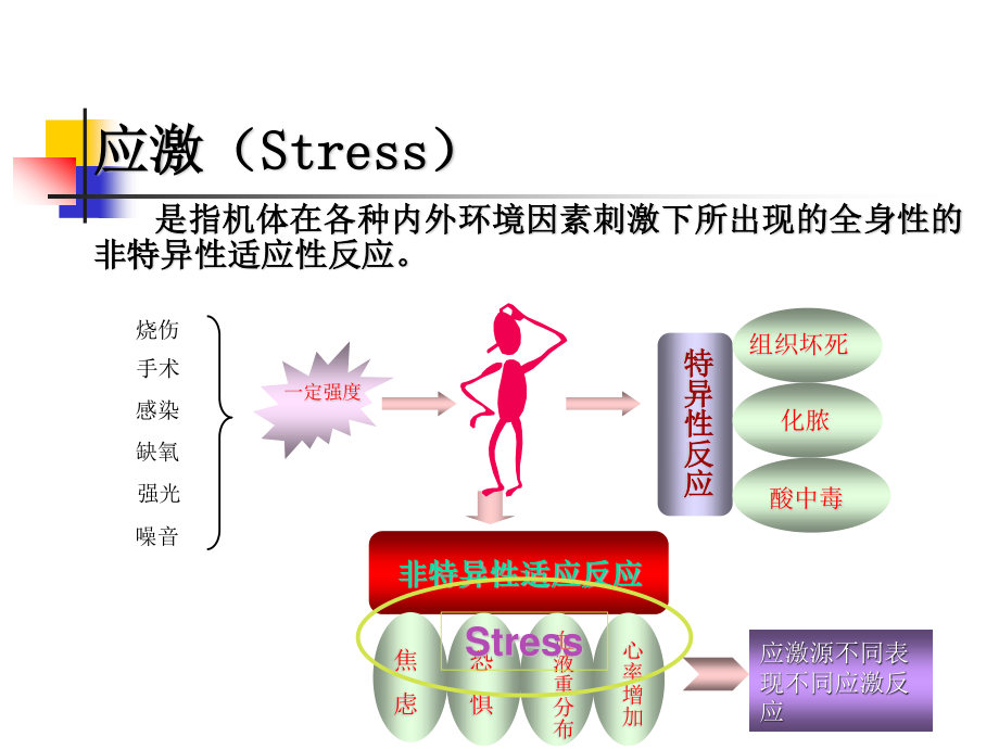 应激性消化道粘膜病变.ppt_第1页