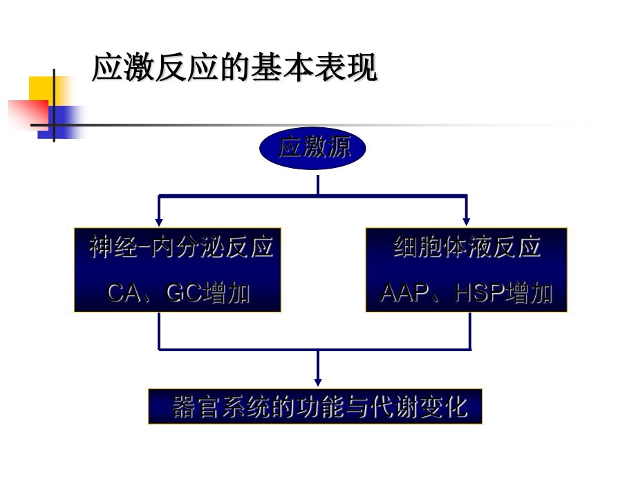 应激性消化道粘膜病变.ppt_第3页