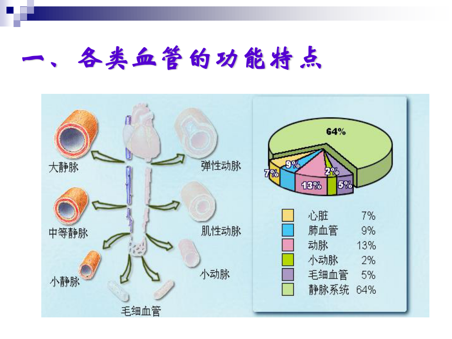 血液循环(3).ppt_第3页