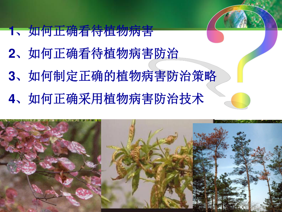 植物病害治理.ppt_第1页