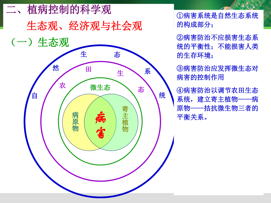 植物病害治理.ppt_第3页