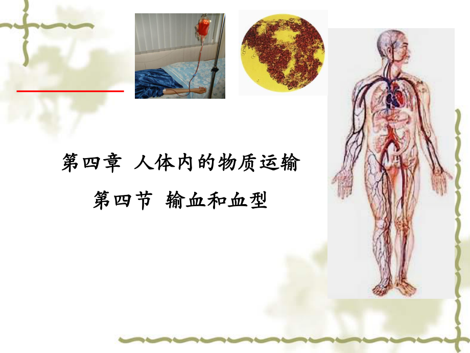 输血和血型.ppt_第1页