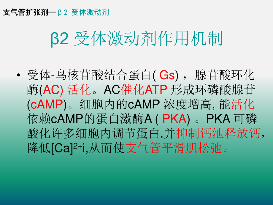 支气管扩张剂的合理使用..ppt_第3页