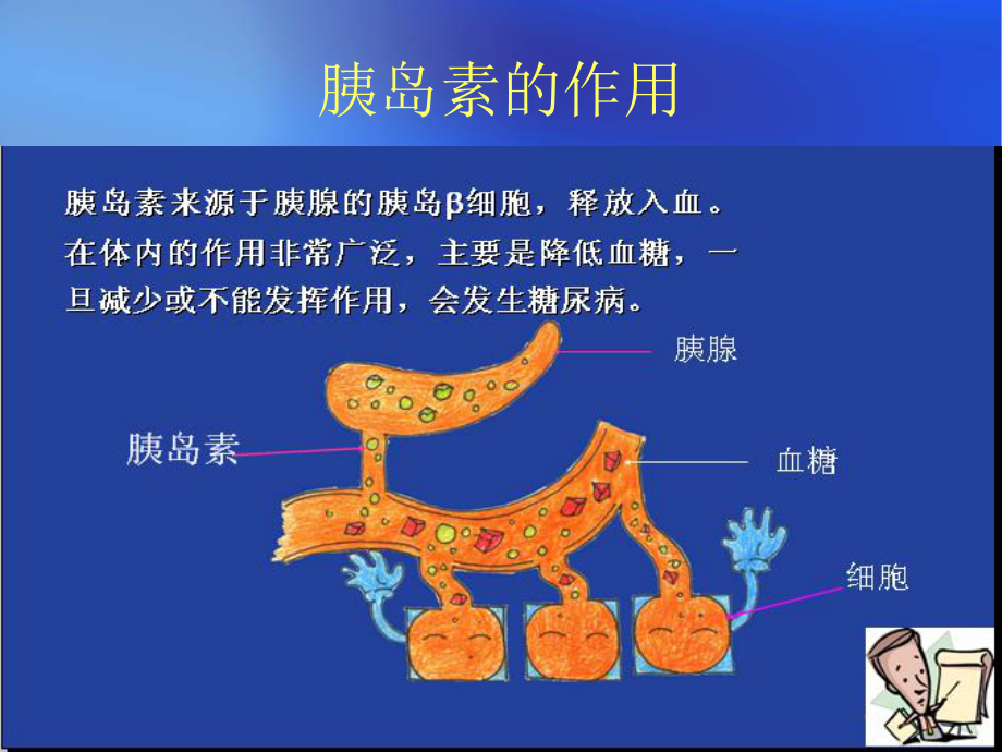 糖尿病周围神经病20101209系列.ppt_第3页