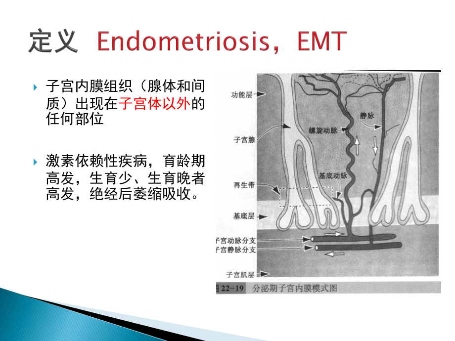 子宫内膜异位症2016.ppt_第2页