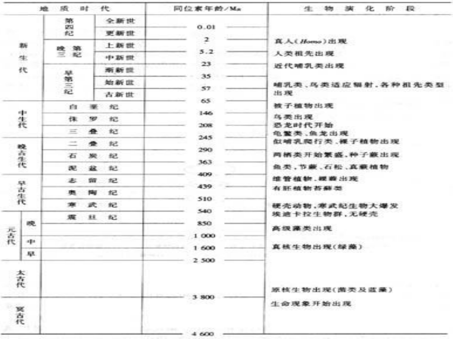 地球的生命史.ppt_第3页