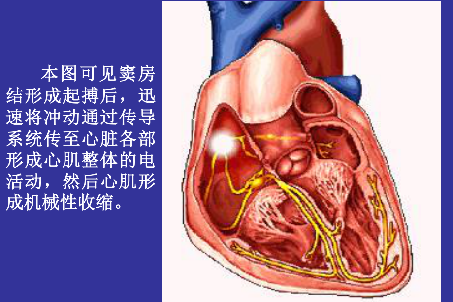 爱爱医资源-心电图绝好.ppt.ppt_第3页