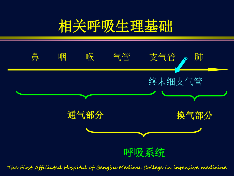 呼吸机相关基础知识.ppt_第2页