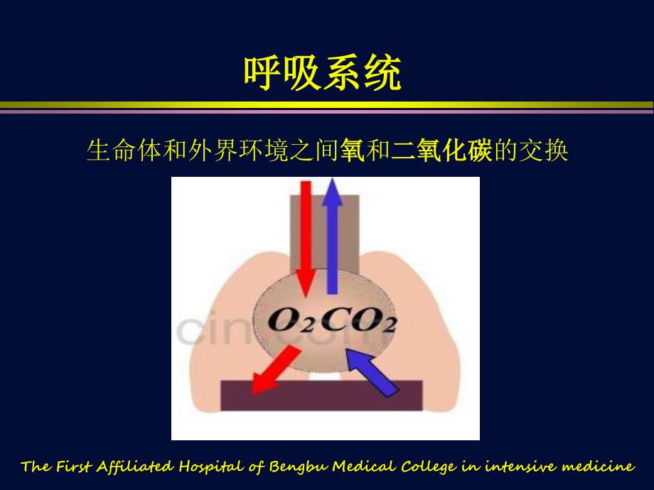 呼吸机相关基础知识.ppt_第3页