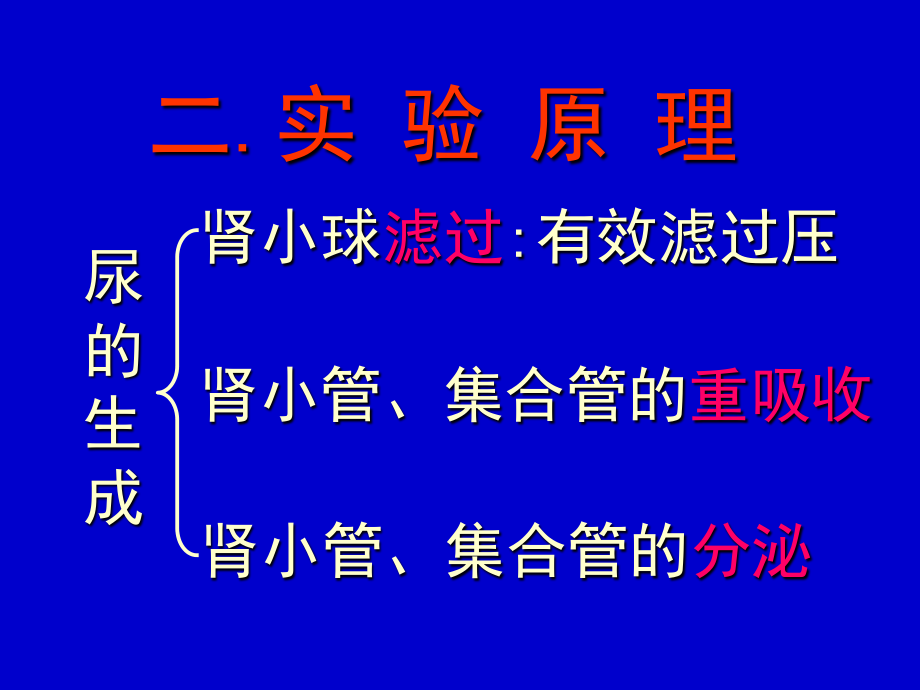 尿液生成的影响因素).pptx_第3页